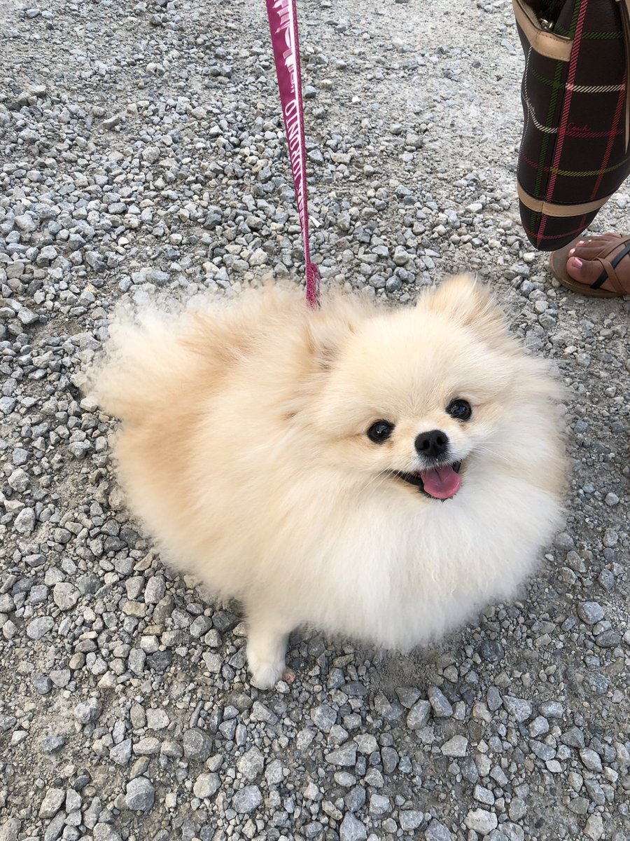 Open Roof Festival tweet media