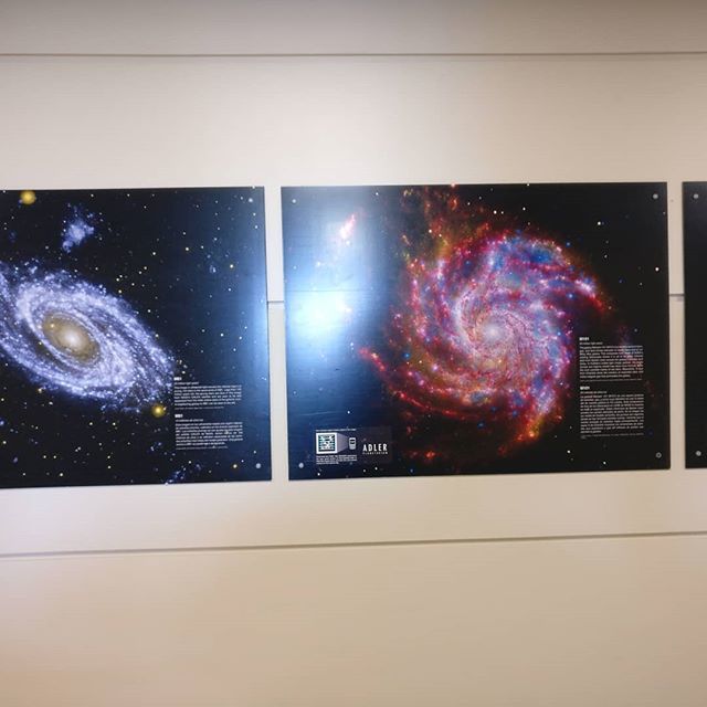 HowWeScience's tweet photo. We saw some of our BFF #galaxies at the Midway Airport today! Thanks, @adlerplanet for bringing them to the Chicago airports!
.
.
.
.
.
#howwescience #HowIScience #astronomy #airport #chicago https://t.co/xel9OO5Ca3 https://t.co/BoJ7SOhKN6
