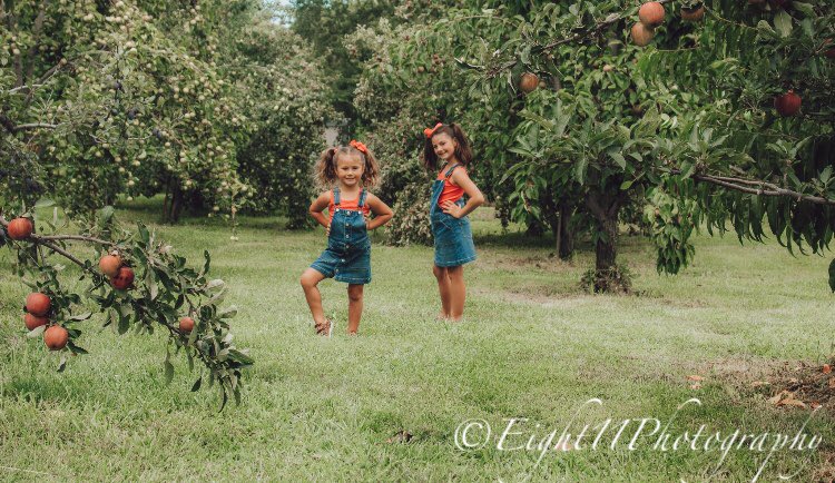 MrsCosper's tweet photo. What better way to prepare for •BACK TO SCHOOL• than a photo session in an APPLE ORCHARD 😍❤️🍎📚🖍 #backtoschool #backtoschoolphotoshoot #appleorchard #momphotographer #fallvibes #apples #sisters #kidsofinstagram https://t.co/1FEq6dipCi
