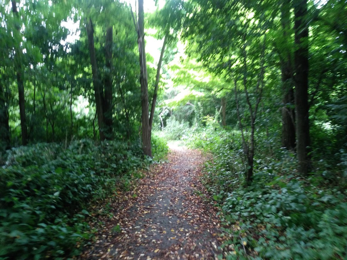 exploretofit's tweet photo. From our travels today #SerenaGundy #ETSeton Yonge & Lawrence to the Brick Works https://t.co/hQxPtkBcbQ