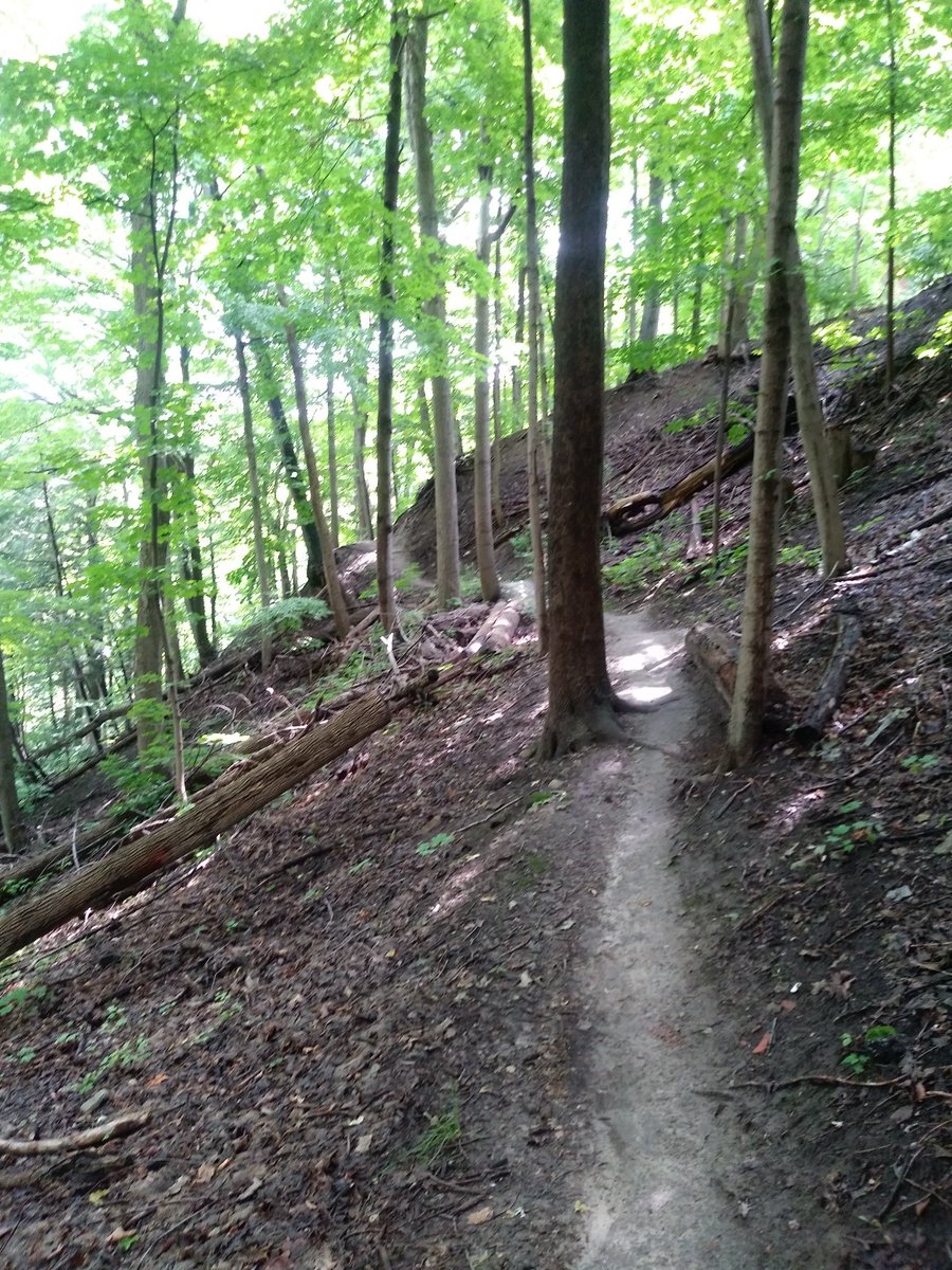 exploretofit's tweet photo. From our travels today #SerenaGundy #ETSeton Yonge & Lawrence to the Brick Works https://t.co/hQxPtkBcbQ