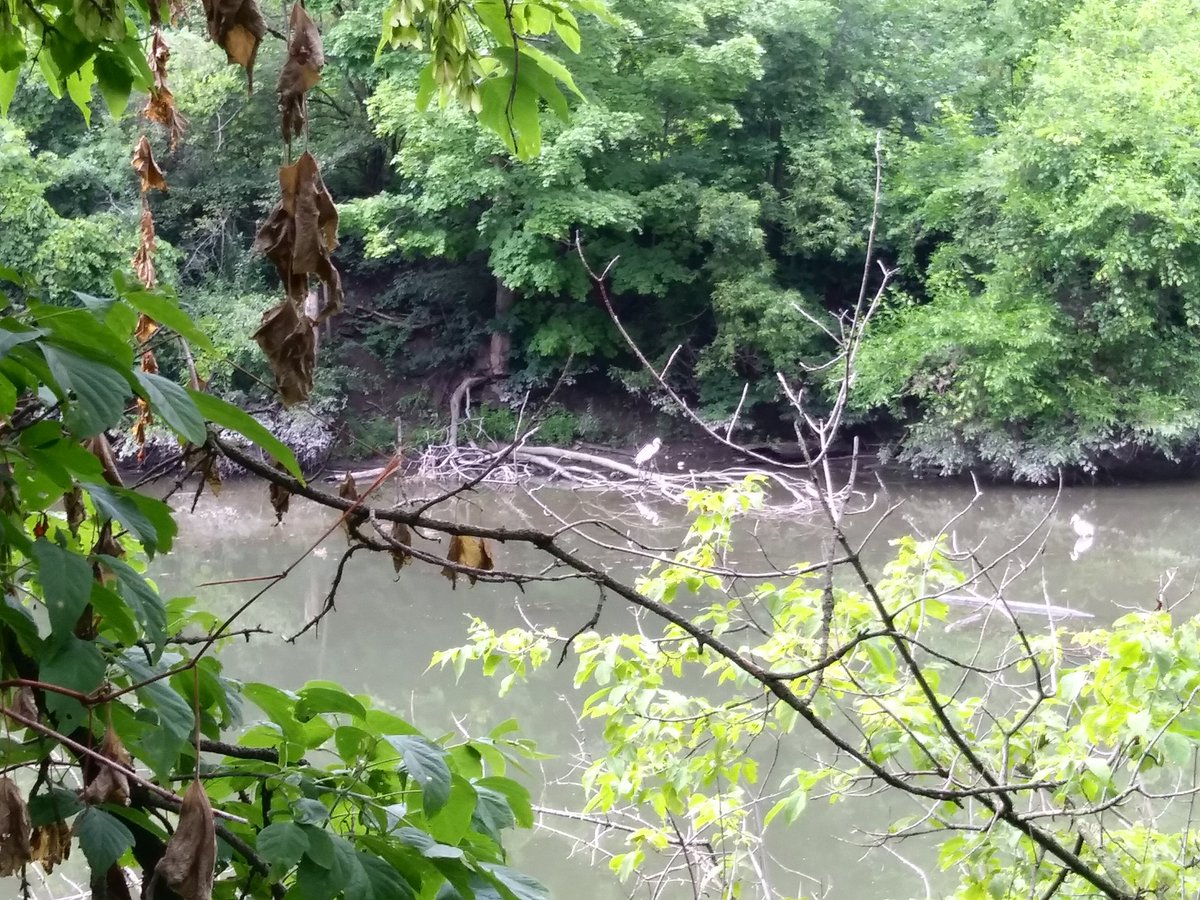 exploretofit's tweet photo. From our travels today #SerenaGundy #ETSeton Yonge & Lawrence to the Brick Works https://t.co/hQxPtkBcbQ
