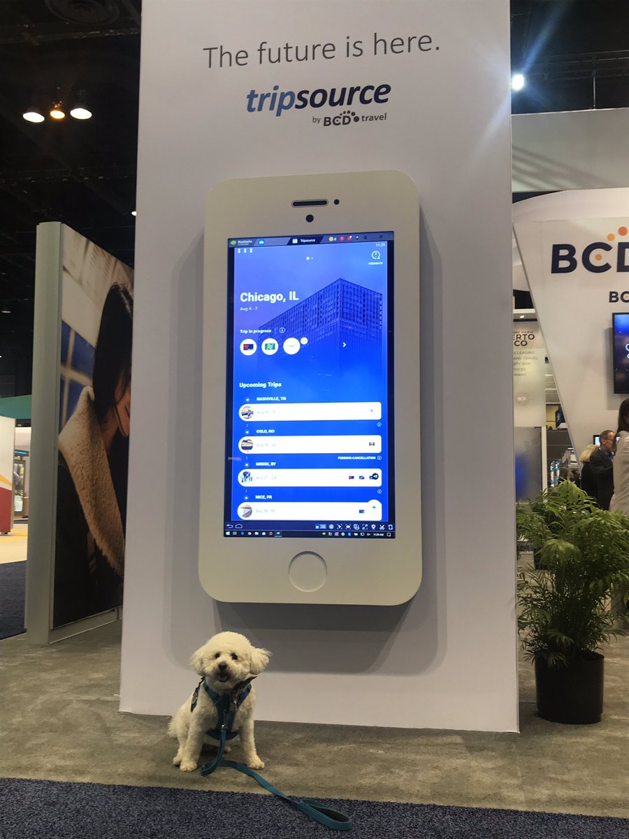 kecassels's tweet photo. Dogs love @BCDTravel and the next generation of the TripSource app! https://t.co/VykbcGQXfL