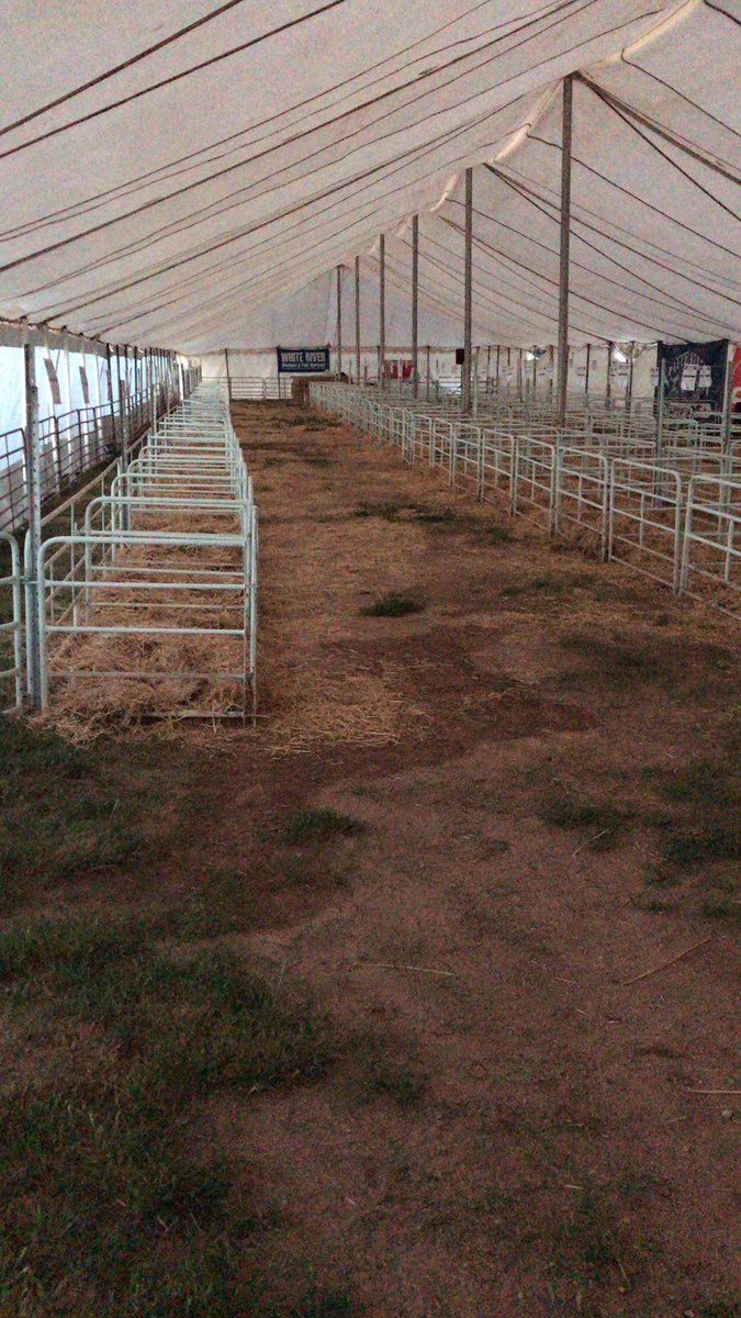 Gordon Wood tweet media