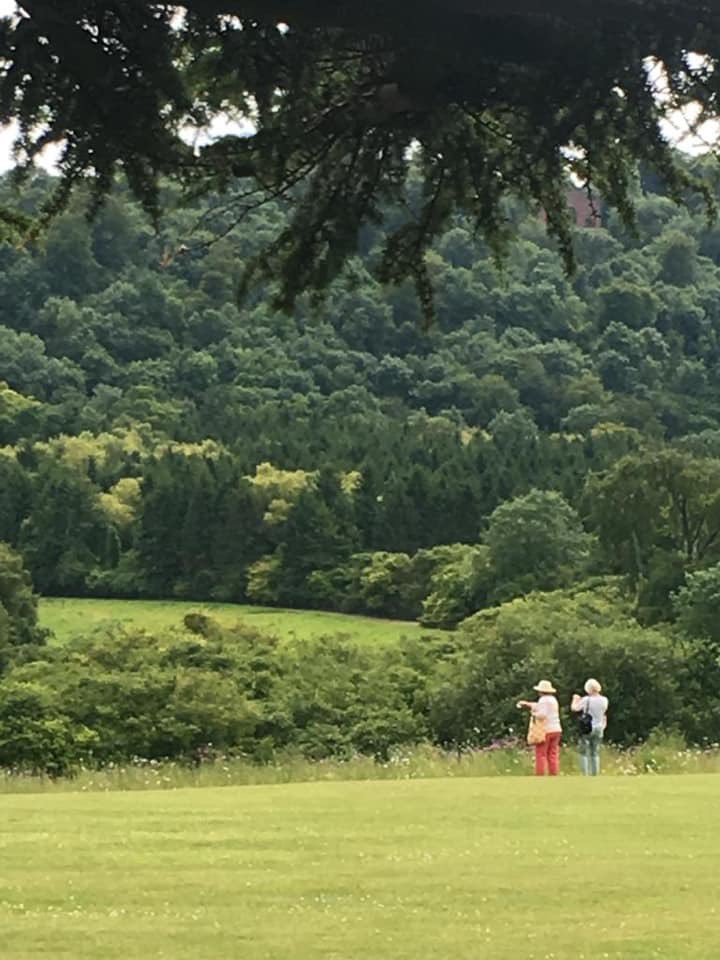 ObeliskToursApp's tweet photo. 📸 The talented ‘Capability’ Brown created many of the ‘natural’ landscapes we enjoy at many stately homes.  

These images are from Highclere #Castle but you can go to 169 others such as #Warwick castle, and #ChatsworthHouse to see more of his often unsung genius. https://t.co/z3tTH2MvG2