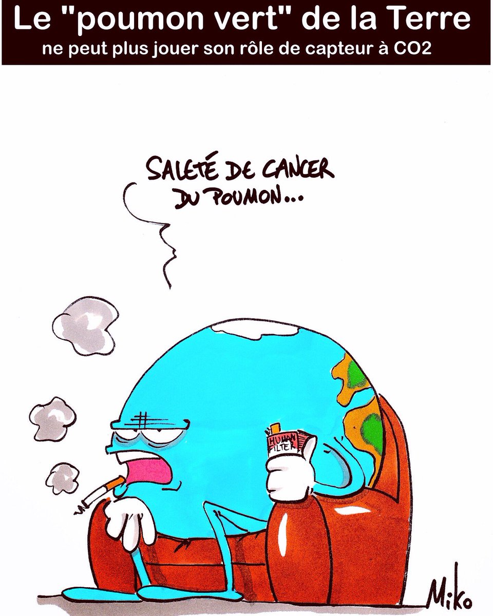 mikodessinateur's tweet photo. Il est #urgent que la #Terre suive une #chimiothérapie pour #guerir du #cancer #humain qui la #ronge. #poumonvert #amazonie #foret #destruction #6eextinctiondemasse #nofuture #co2emission #ecologie #crime #ecocide https://t.co/QwioFln1S3