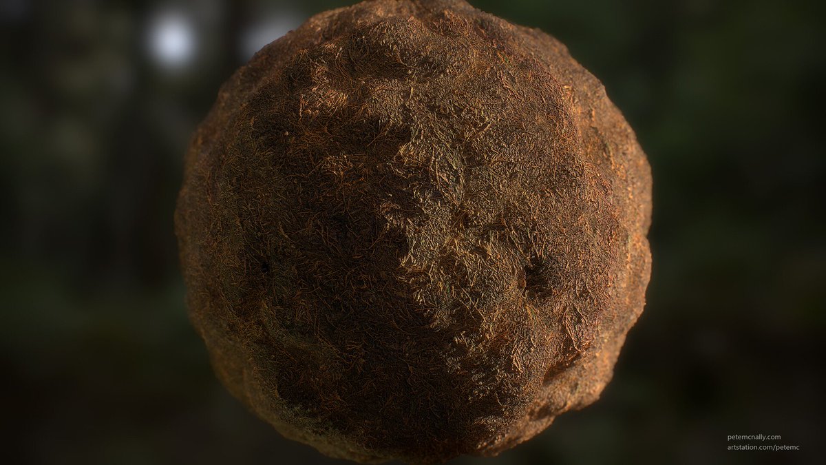 petesonearth's tweet photo. Here's a game ready forest floor material I created, pines, twigs etc. I used @RealityCapture_ @KnaldTech @Artomatixltd and rendered of course in @marmosetco 

HD/Breakdown here:
https://t.co/ve0ptCVBzO

#gameart #material #texturing #vr #vfx #art #photogrammetry #3dmodel #3d # https://t.co/FXzpVOhlfY