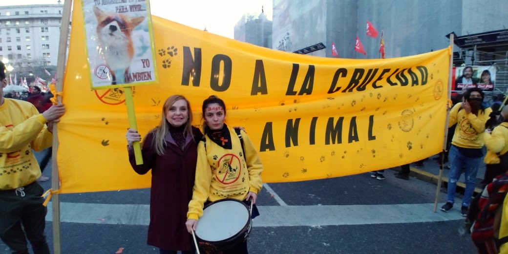 Lubertino's tweet photo. #Ahora frente al Congreso Nacional para proteger los #derechosdelosanimales . Pedimos la modificación del dictamen que reforma la ley 14.346. #LiberaciónAnimal #NoalaTAS Votá #lista88 en Caba. #lubertinoLegisladora una garantía x su compromiso con los Derechos de los animales https://t.co/Sg1anYKQfV