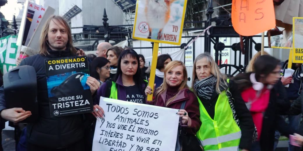 Lubertino's tweet photo. #Ahora frente al Congreso Nacional para proteger los #derechosdelosanimales . Pedimos la modificación del dictamen que reforma la ley 14.346. #LiberaciónAnimal #NoalaTAS Votá #lista88 en Caba. #lubertinoLegisladora una garantía x su compromiso con los Derechos de los animales https://t.co/Sg1anYKQfV