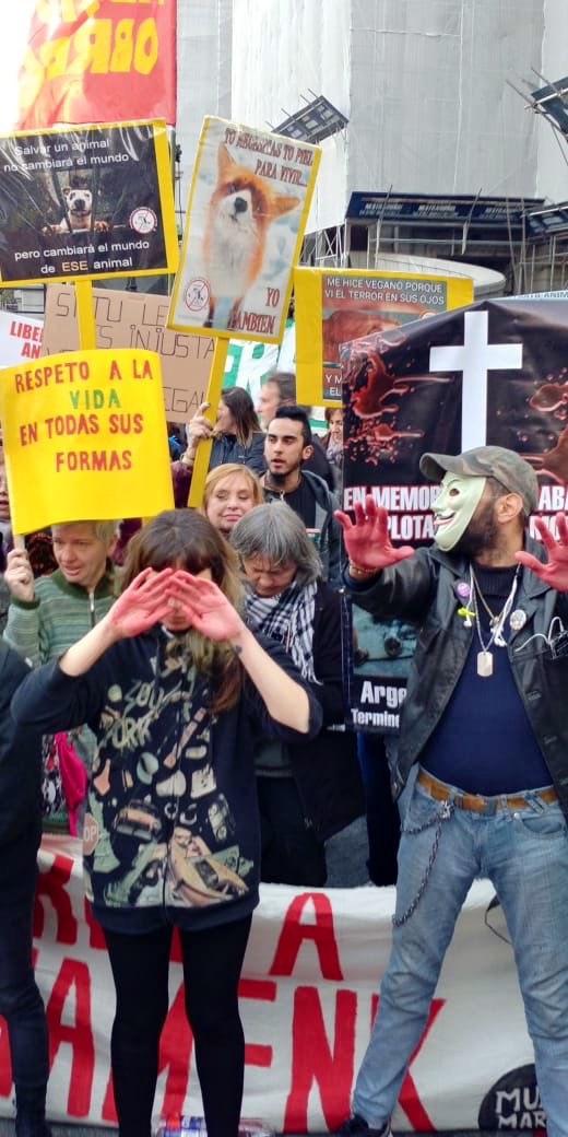 Lubertino's tweet photo. #Ahora frente al Congreso Nacional para proteger los #derechosdelosanimales . Pedimos la modificación del dictamen que reforma la ley 14.346. #LiberaciónAnimal #NoalaTAS Votá #lista88 en Caba. #lubertinoLegisladora una garantía x su compromiso con los Derechos de los animales https://t.co/Sg1anYKQfV