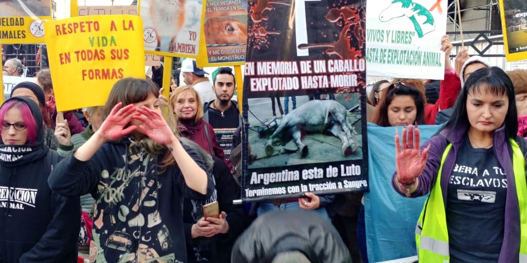 Lubertino's tweet photo. #Ahora frente al Congreso Nacional para proteger los #derechosdelosanimales . Pedimos la modificación del dictamen que reforma la ley 14.346. #LiberaciónAnimal #NoalaTAS Votá #lista88 en Caba. #lubertinoLegisladora una garantía x su compromiso con los Derechos de los animales https://t.co/Sg1anYKQfV