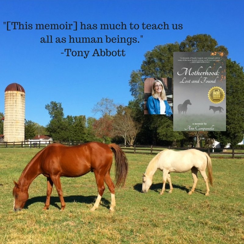 authorAnnC's tweet photo. Thank you, Tony Abbott, for these kind words. #horse #kindlebooks #memoir
https://t.co/KmAkLDUvD2 https://t.co/BxKWFmT4Wh