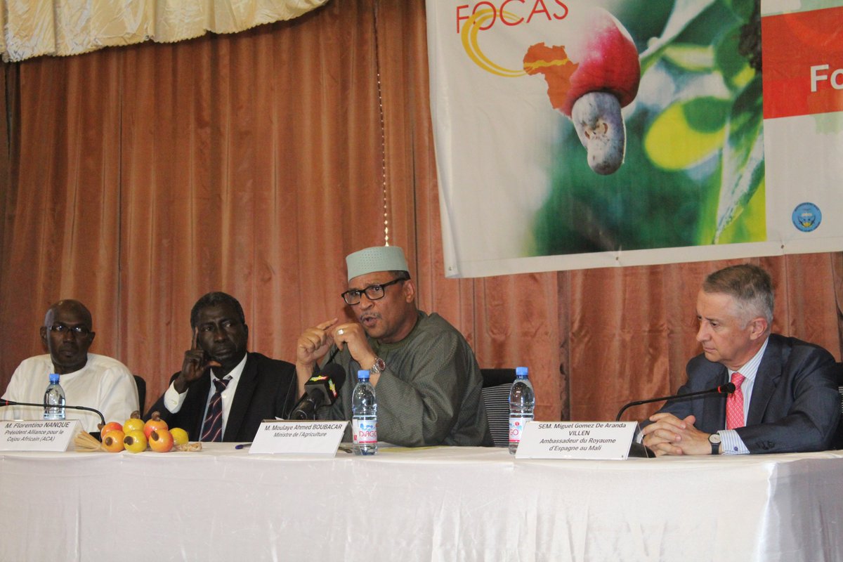 AfricanCashew's tweet photo. Au revoir Bamako! Another successful FOCAS edition with a great turn-out this year in Mali. By the way the next edition of FOCAS in 2020 has been announced to take place in Guinea Bissau... Looking forward to seeing our Sahelian stakeholders there! #FOCAS2019 #cashew #sahel https://t.co/OrhGzXNW0U