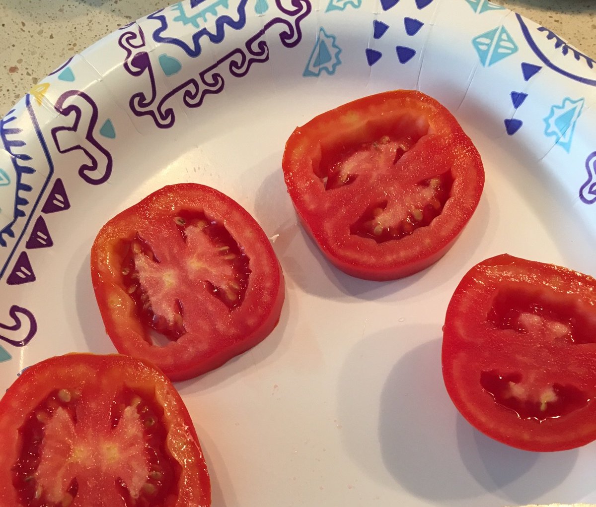 TomatoGators's tweet photo. TOMATOES!!!!! 🍅🍅🍅 https://t.co/p6n09fv1xM