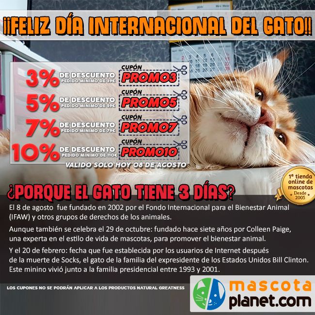 ¡Feliz día internacional del gato! Hasta 10% de descuento en toda nuestra tienda
·
Tienda: mascotaplanet.com
·
#mascotaplanet #tiendadeanimales #todoloquetumascotanecesita #promociones #descuentos #DiaInternacionalDelGato #felicidadesmininos