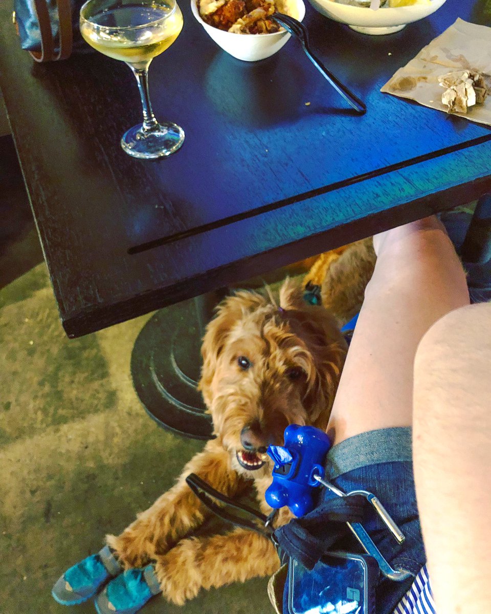MorChuck21's tweet photo. A #throwback 2 #BastilleDay @ledistrict 4 #whipemoutwednesday! #morchuck21 #ledistrict #downiswhatsup #tsliminthewild #downtownnyc #t1dadvocate #t1d #diabetesawareness #4ekennels #lgservicedogs #marysstitchery #ruffwear #diabeticalertdog #servicedog #dogsofinstagram #boopmynose https://t.co/mlSLAqYimq