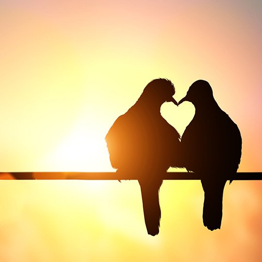 ..Love is what we are born with. Fear is what we have learned here. The spiritual journey is the unlearning of fear and the acceptance of love back into our hearts.
📚🎀
#Marianne Williamson