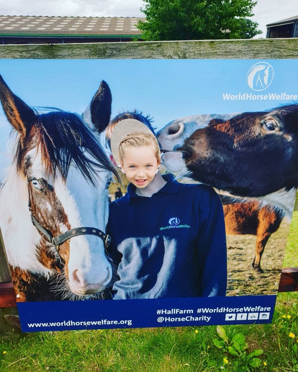 MissPriyaJP's tweet photo. Today at World Horse Welfare 🐎 Such a wonderful place to take the kiddies in #summerholidays.. it's free entry! Any money spent goes to such a good cause! @HorseCharity #WackyWednesday #WorldHorseWelfare #HallFarm #Snetterton https://t.co/QyO2ygzN4x