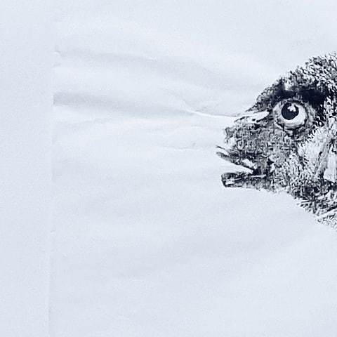 i_am_lann's tweet photo. This gyotaku of a sea bream is on Xuan rice paper and measures 34.5 x 26cm. I'm happy to make gyotaku of anglers' catches - send me a message.
. . . . .

#gyotaku #art #bokuseki #brush #design #fude #hitsuzendo #ink #illustration #INKRDBLscript #hanko #n… https://t.co/N9j8gr5XJH https://t.co/aCh609yk9F