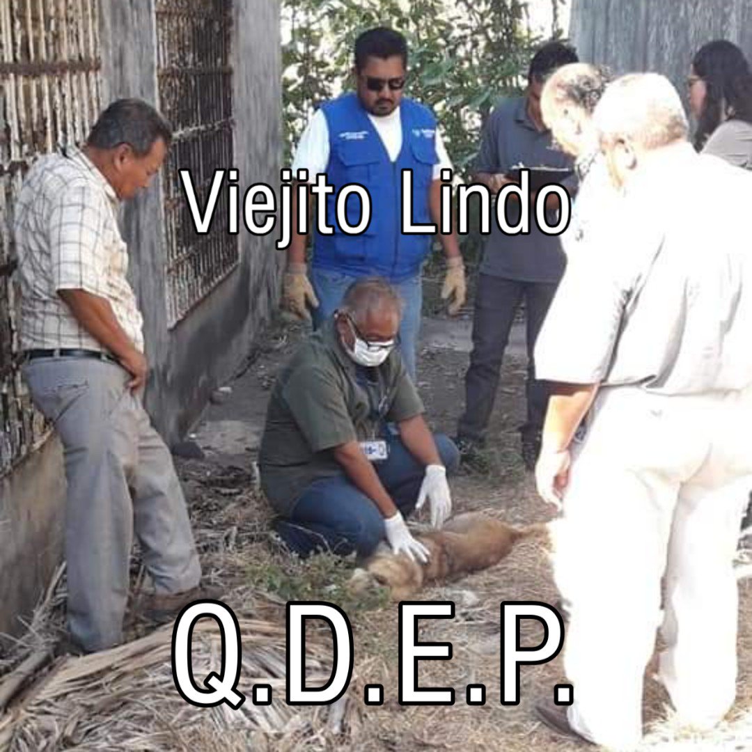 UPALmx's tweet photo. Se dicto al asesino de #ViejitoLindo prisión preventiva por 6 meses en Veracruz, México, un precedente que esperamos se replique en todo el país.

Un reconocimiento y agradecimiento a Kim Car Kacha, quién gracias a su tenacidad, paciencia y valor pudo lograr #Justicia https://t.co/E1lTXChPCJ