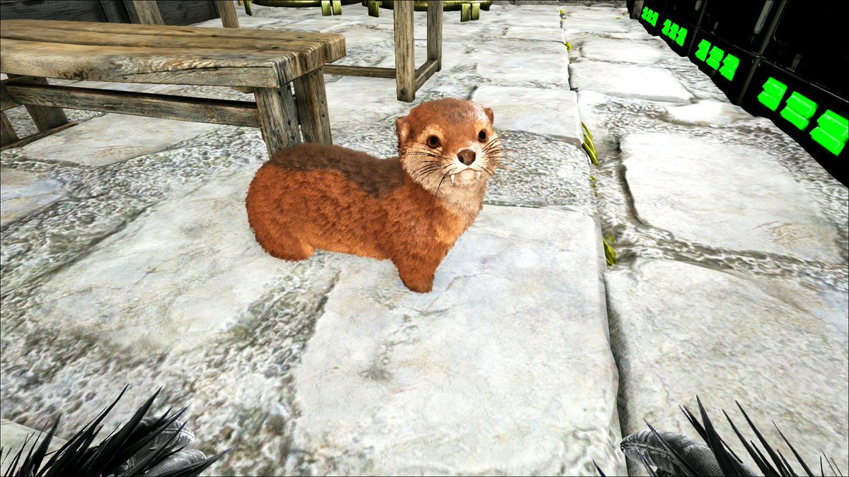 選択した画像 Ark カワウソ テイムできない ただのゲームの写真