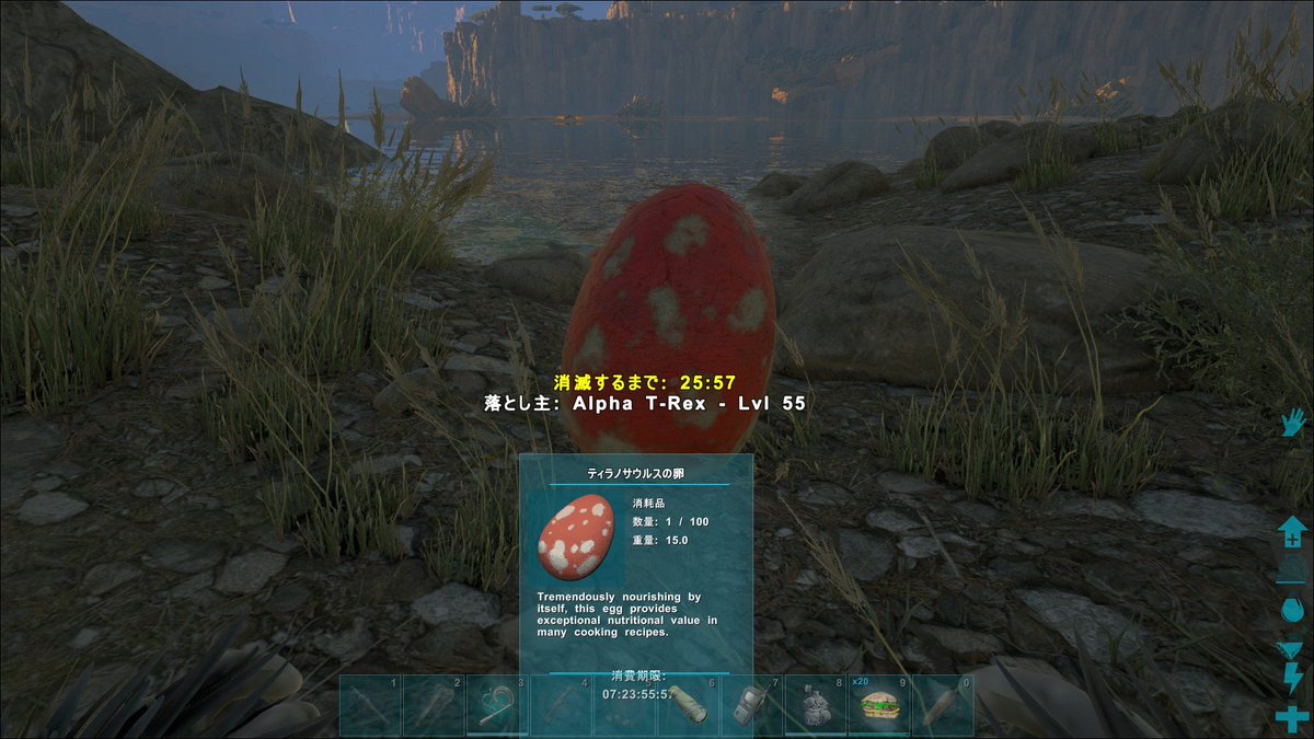 魅惑色のぱんだ Ark 昨日はかなり久しぶりにカワウソをテイムしましたぁー ログインしてはイクチオルニスかついで探してはいたんですが なかなか高レベルは見つからずとりあえず今回はlv90 W 茶々丸と名づけましたｗ あとアルファレックスが卵