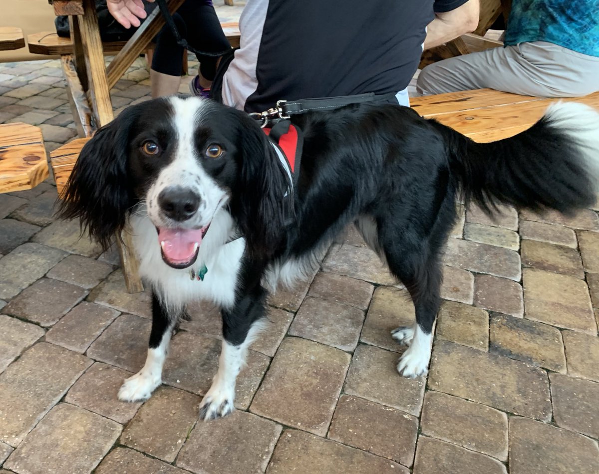 Diana Rugg, M.Ed. tweet media