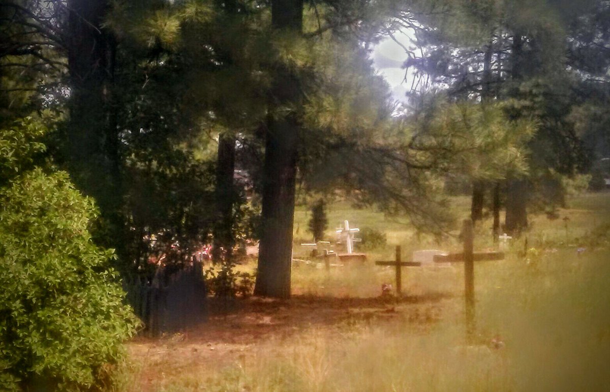 aladreth's tweet photo. typing away
dreams and delusions
for your benefit
#ghostliest #adventuretoday #fotobyaladreth https://t.co/yMo4Xw1uc9