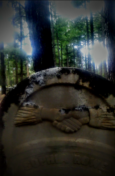 aladreth's tweet photo. crutch
of reality
#ghostliest #adventuretoday #fotobyaladreth https://t.co/Y4907X8LAY