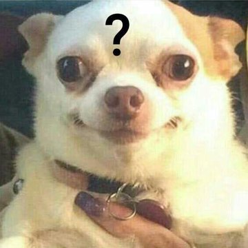 elcosodelapizza's tweet photo. Yo intentando explicarle a mí cerebro lo importante que es estudiar para recibirnos // mí cerebro https://t.co/zLqEBkAJIV