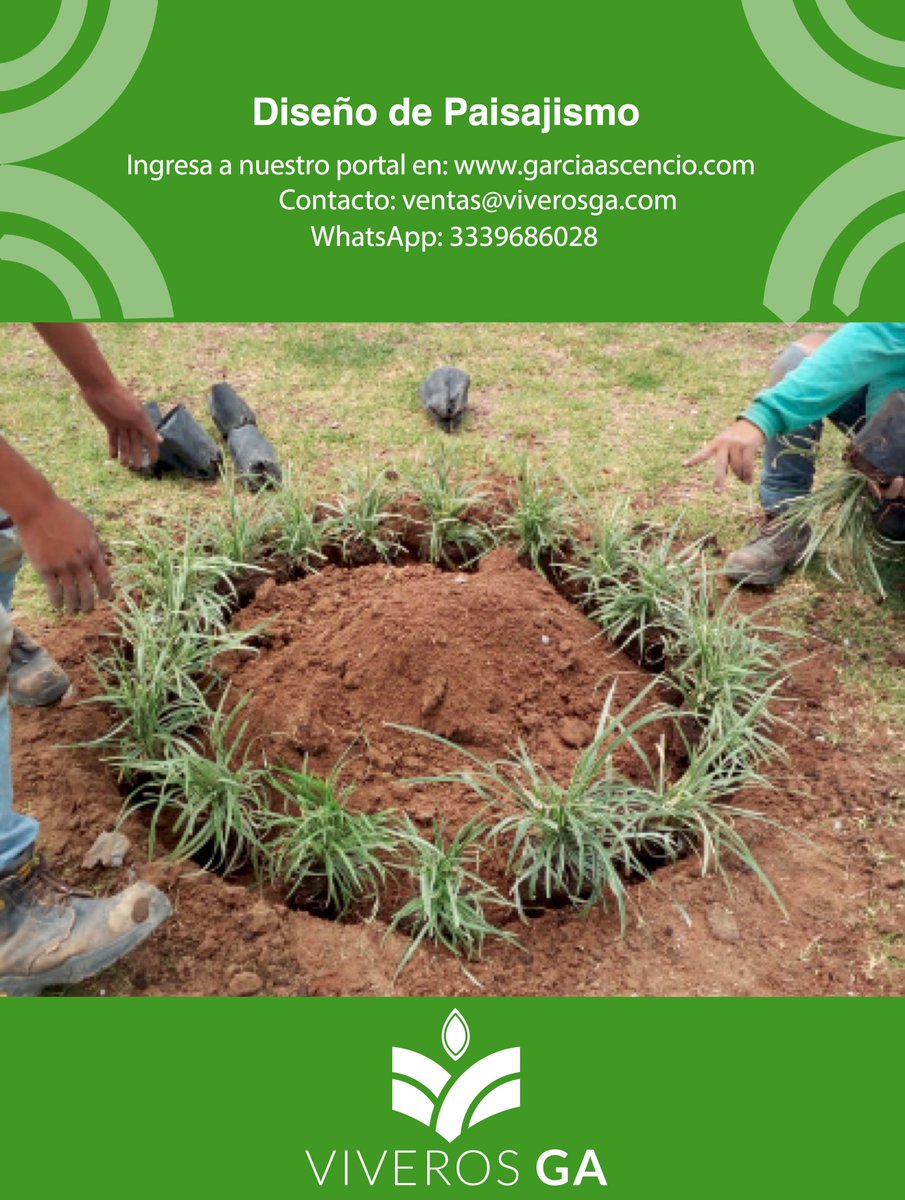 AsfaltosGdl's tweet photo. ¡Contáctanos y cotiza con nosotros tu proyecto! https://t.co/KUIiuVhjmS
