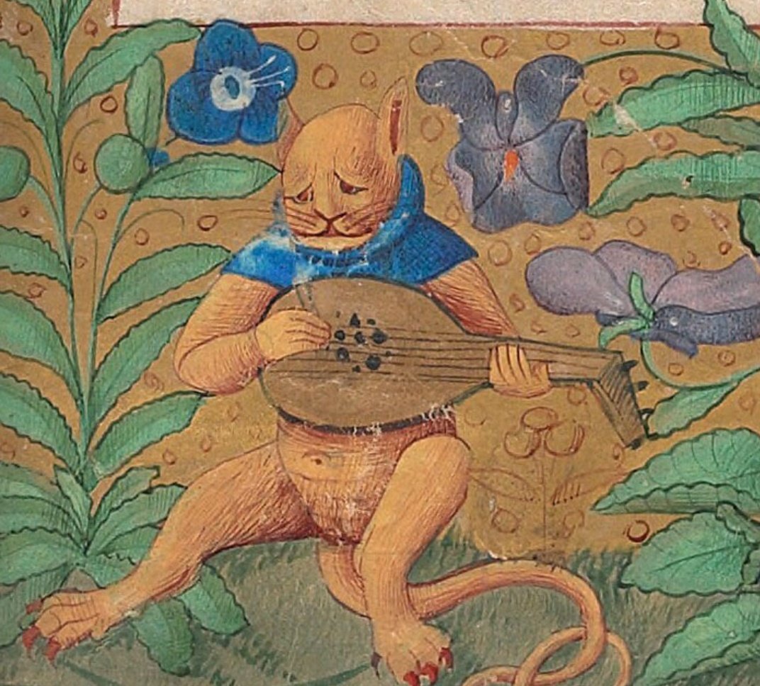CatsMedieval's tweet photo. emo kids when mom wont let them dye their hair purple
#funny #cat #emo #meme https://t.co/Q0sPZXfWSZ