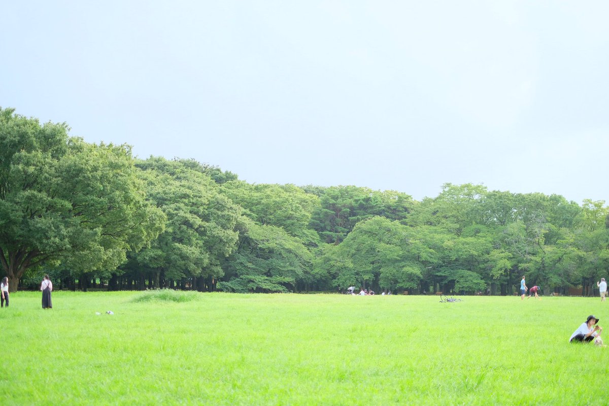 Nao 代々木公園には芝生あったけど 伸びっぱなしで整備されてない 都内で芝生の綺麗な公園ご存知でしたら教えてくださいー 芝生のある公園 拡散希望