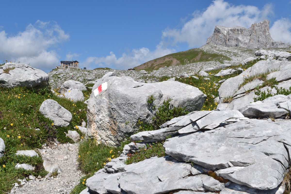 WegWandernCH's tweet photo. #Wanderung 😘im #Prättigau zur #Carschinahütte👍
➡️ https://t.co/yzuFovAdsE
#engadin #graubünden #rätikon #blickheimat #swisshike #wandernschweiz #wandern #wanderlust #sulzfluh #verliebtindieschweiz #hike #swissalps #wandernmachtglücklich #hikingswitzerland #carschinasee #alpen https://t.co/GBUHbWf9To