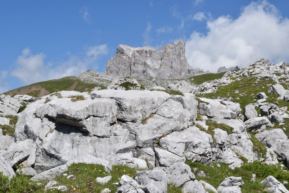 WegWandernCH's tweet photo. #Wanderung 😘im #Prättigau zur #Carschinahütte👍
➡️ https://t.co/yzuFovAdsE
#engadin #graubünden #rätikon #blickheimat #swisshike #wandernschweiz #wandern #wanderlust #sulzfluh #verliebtindieschweiz #hike #swissalps #wandernmachtglücklich #hikingswitzerland #carschinasee #alpen https://t.co/GBUHbWf9To