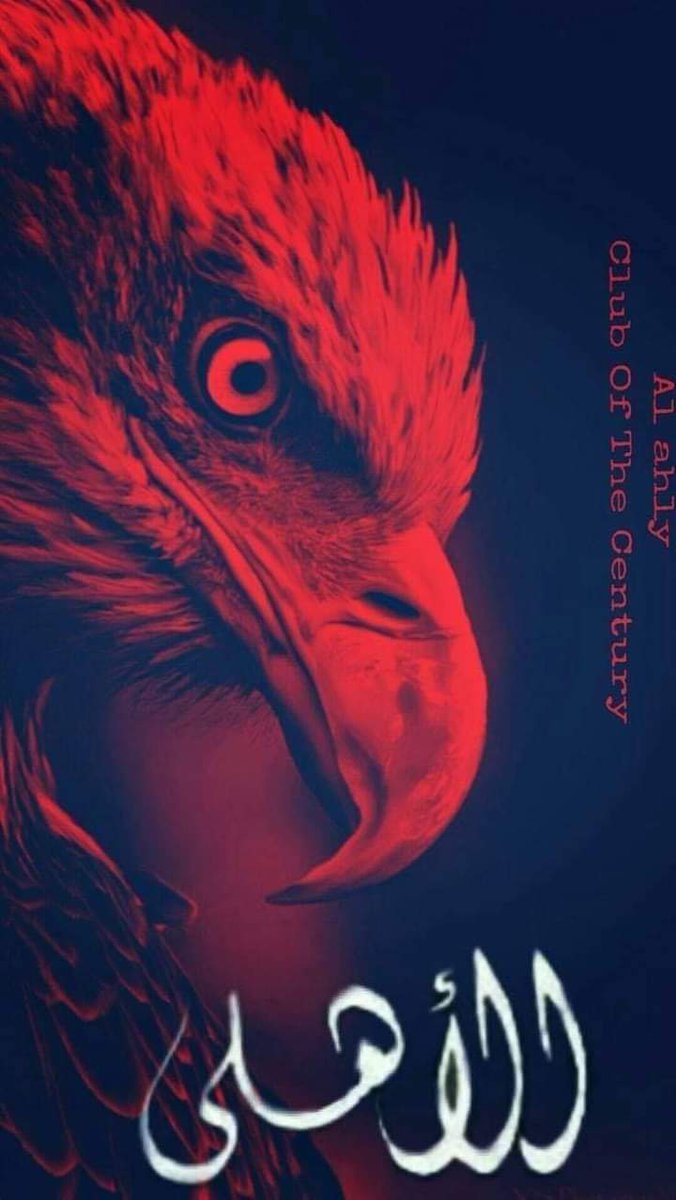 kmortagy's tweet photo. حلق عالي بحرية يا نسر نادي الوطنية......صباحكم اهلاوي 🦅🦅🦅🚩 https://t.co/dHIK8gBHUo
