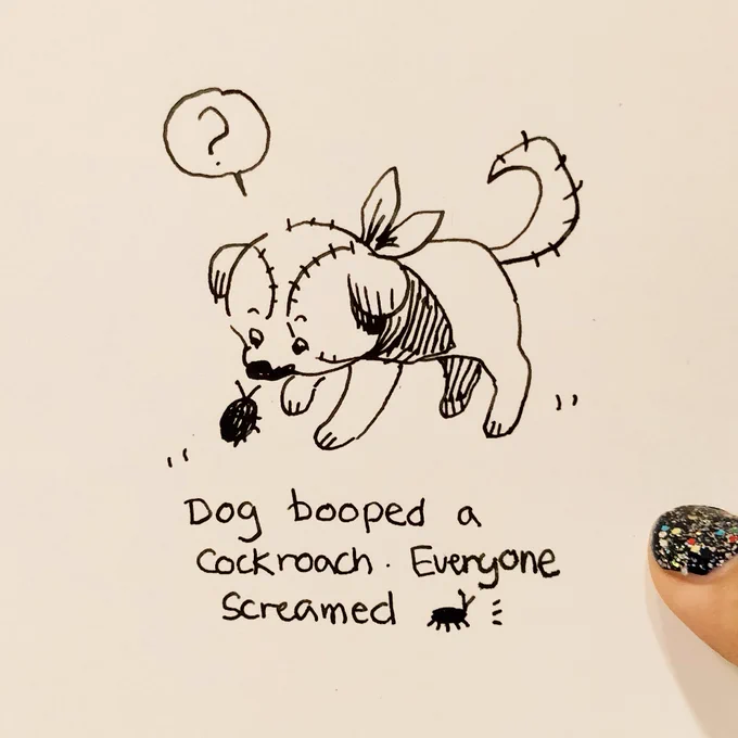 Snoot boop✨ 
