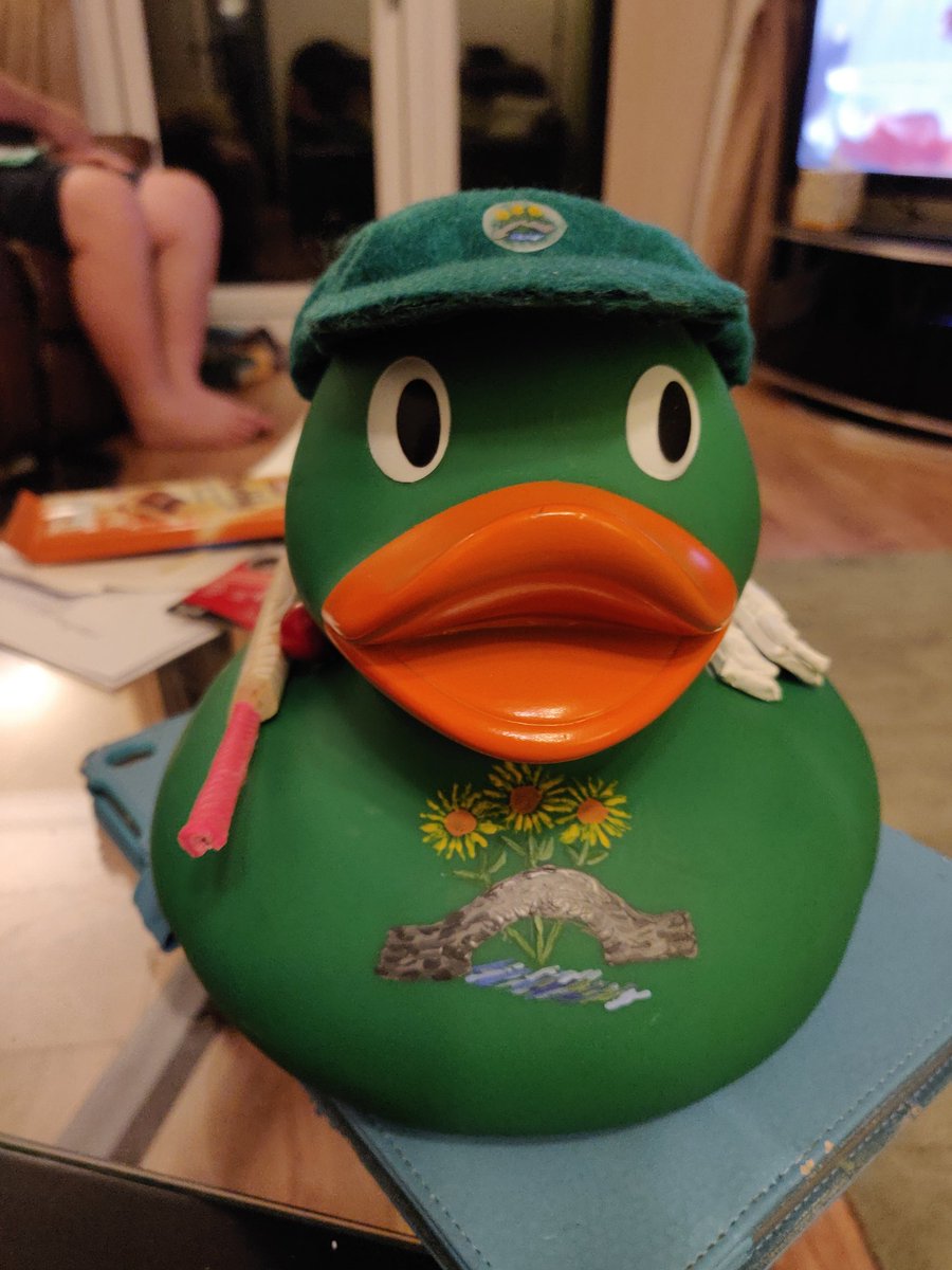Gail55536925's tweet photo. Hope to have a name sorted for this little fella tomorrow night at junior training @PontblyddynCC @HopeHouseNicola #harrysduckrace https://t.co/9Odghftk6R