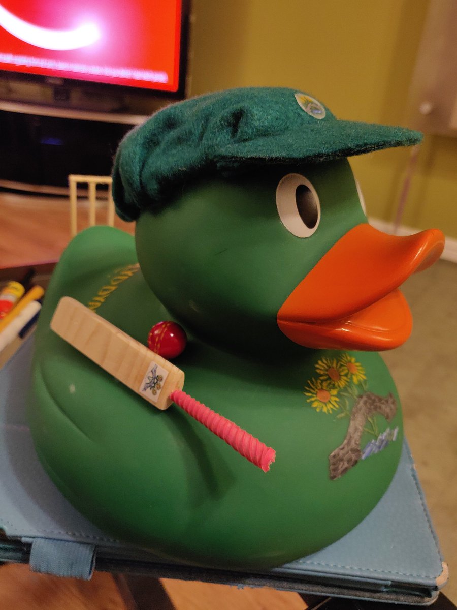 Gail55536925's tweet photo. Hope to have a name sorted for this little fella tomorrow night at junior training @PontblyddynCC @HopeHouseNicola #harrysduckrace https://t.co/9Odghftk6R