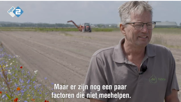 mooie uitzending over de uitdagingen van onze belangrijke partner, de biologische bollenteler John Huiberts
zembla.bnnvara.nl/nieuws/bollent…