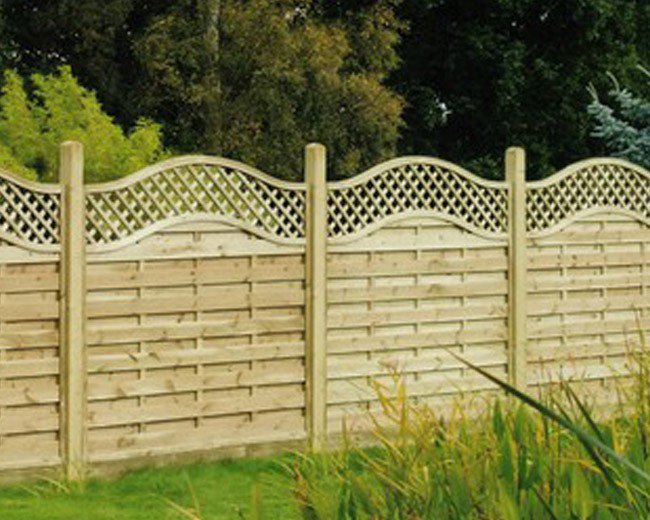 Websters Timber tweet media