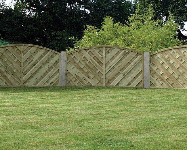 Websters Timber tweet media