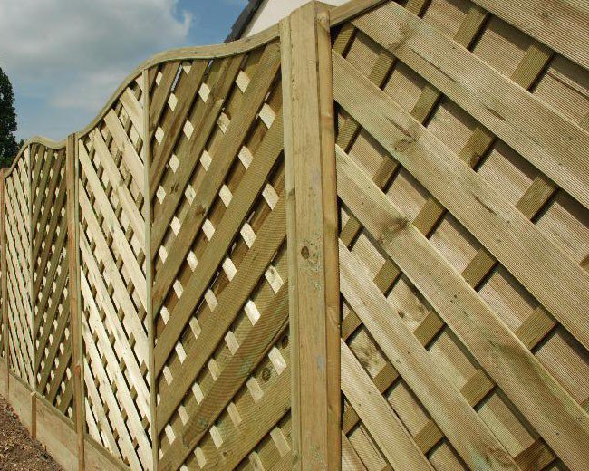 Websters Timber tweet media