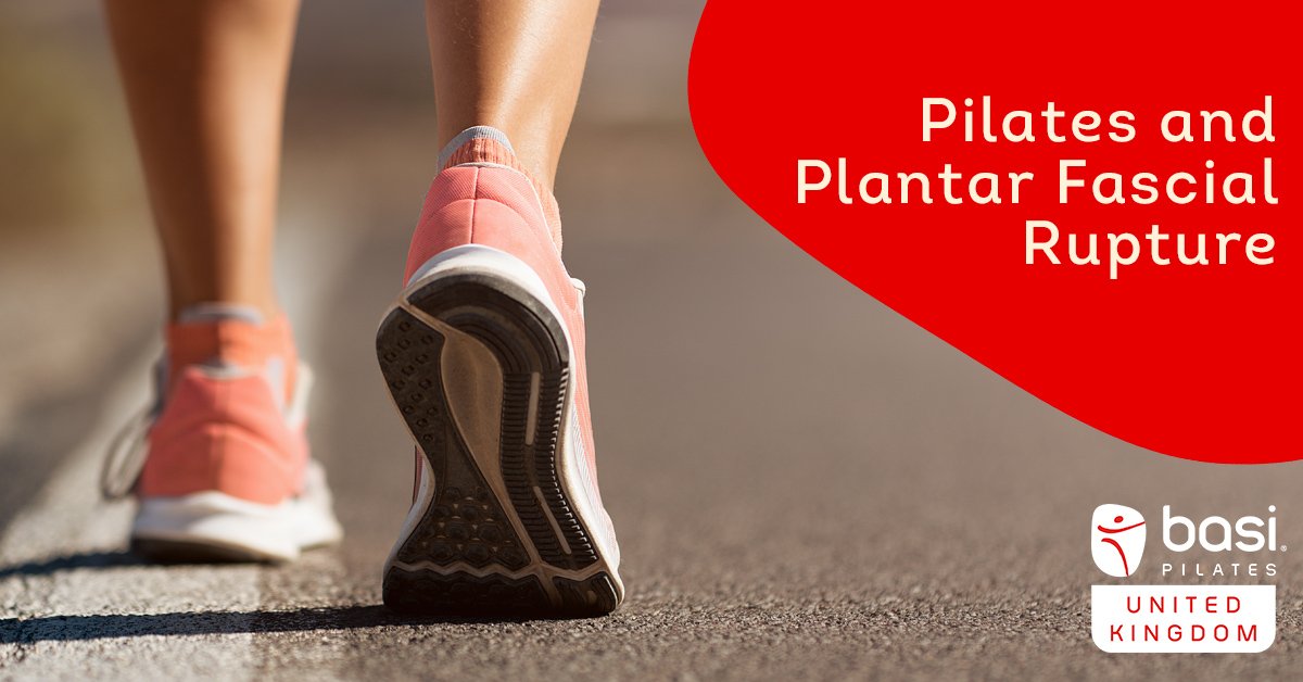 BASIPilatesUK's tweet photo. This paper will address the use of Pilates for a ruptured plantar fascia.
Read more about Pilates and Plantar Fascial Rupture paper by Taylor Simpson
Link: https://t.co/RJGlYRKSdD
#pilates #basipilatesuk #basipilates #dopilates #teachertraining #pilateslover #plantarfasciitis https://t.co/MPyjKcvQO2