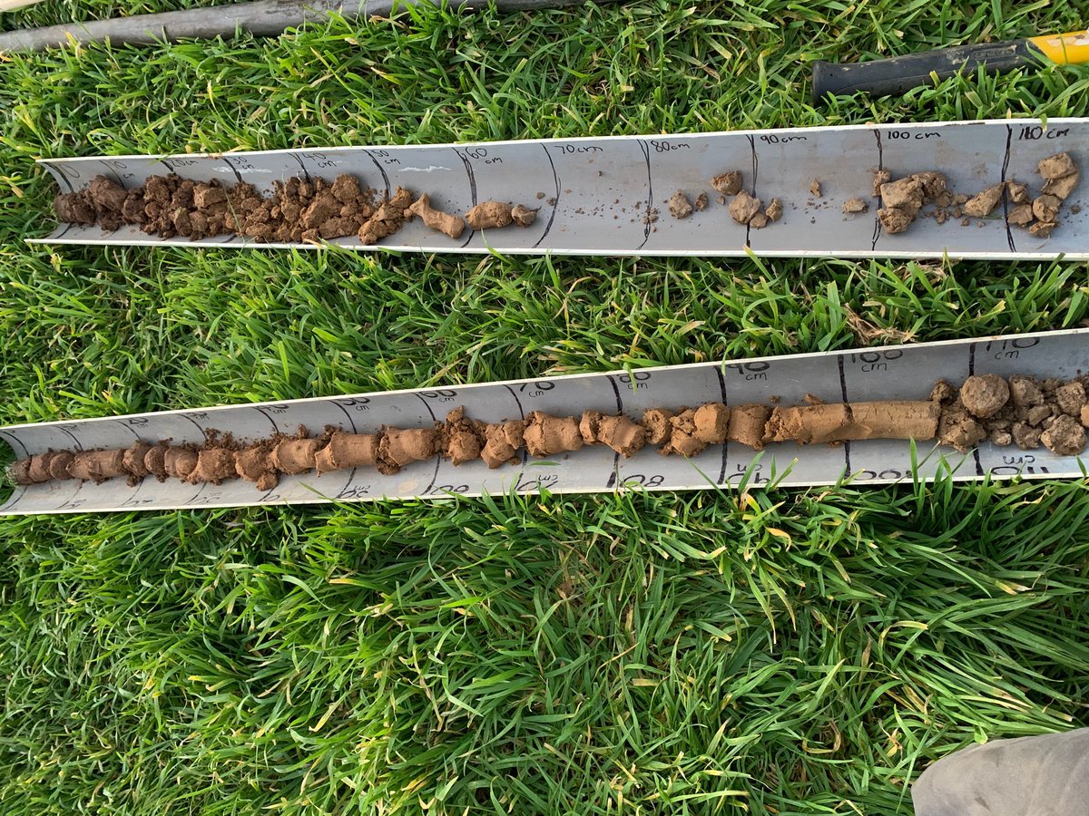 dale boyd tweet media