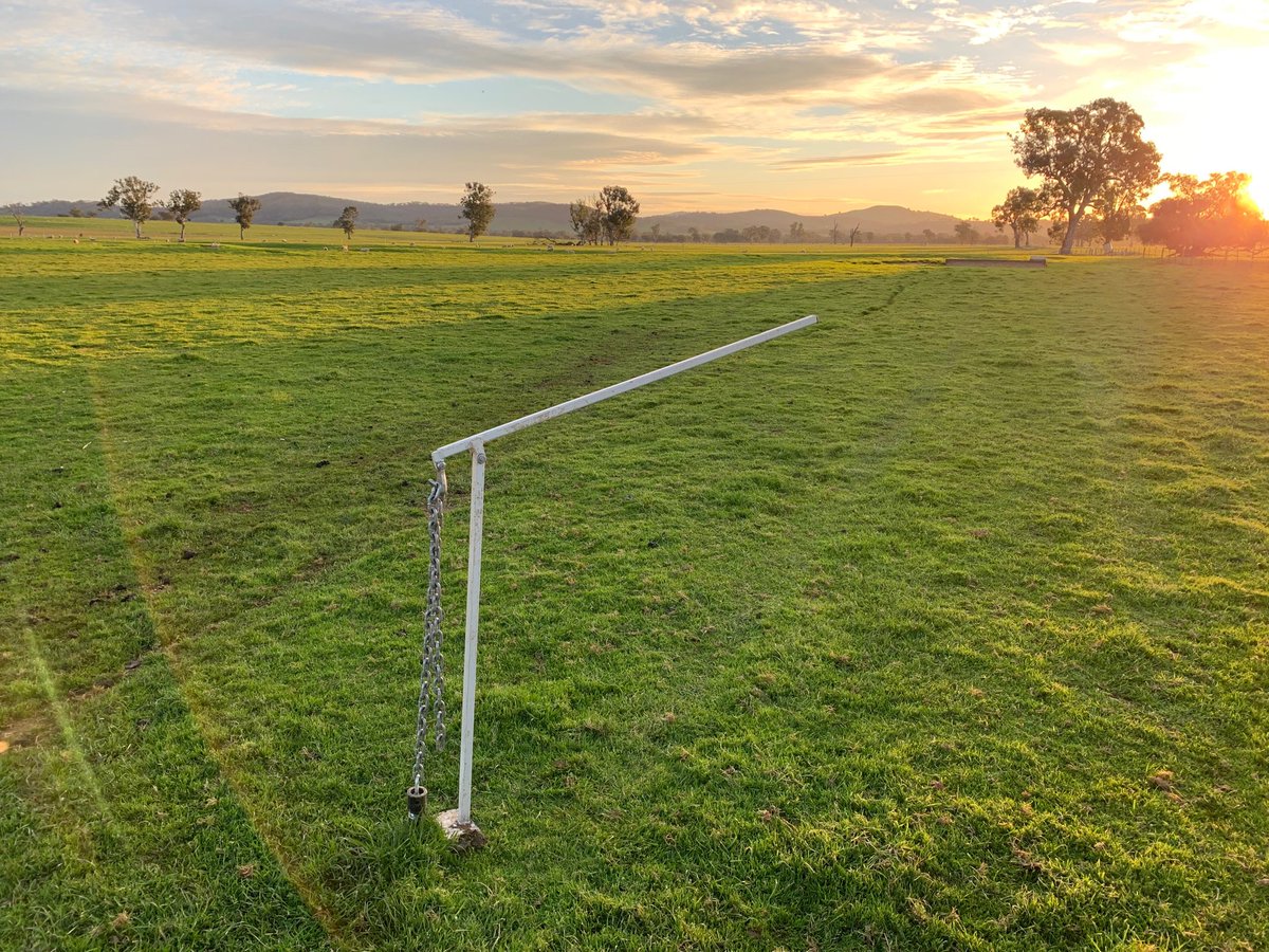 dale boyd tweet media