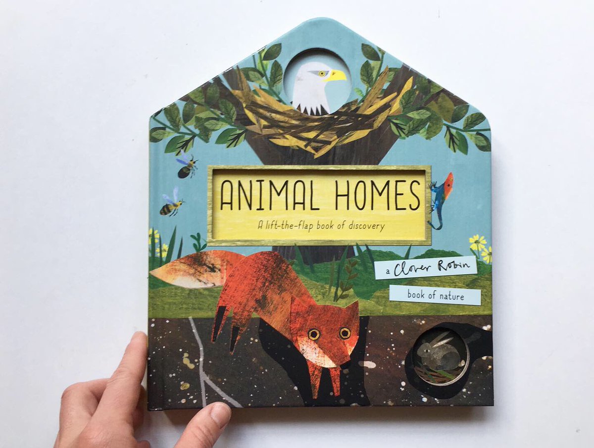 Hello Twitter folk! I just popped over to say a LoVeLy little board book in the Bird House and Bug Hotel series, Animal Homes published last week by awesome @littletigerbooks written by very clever @ttwardrobe and with snips by me ✂️