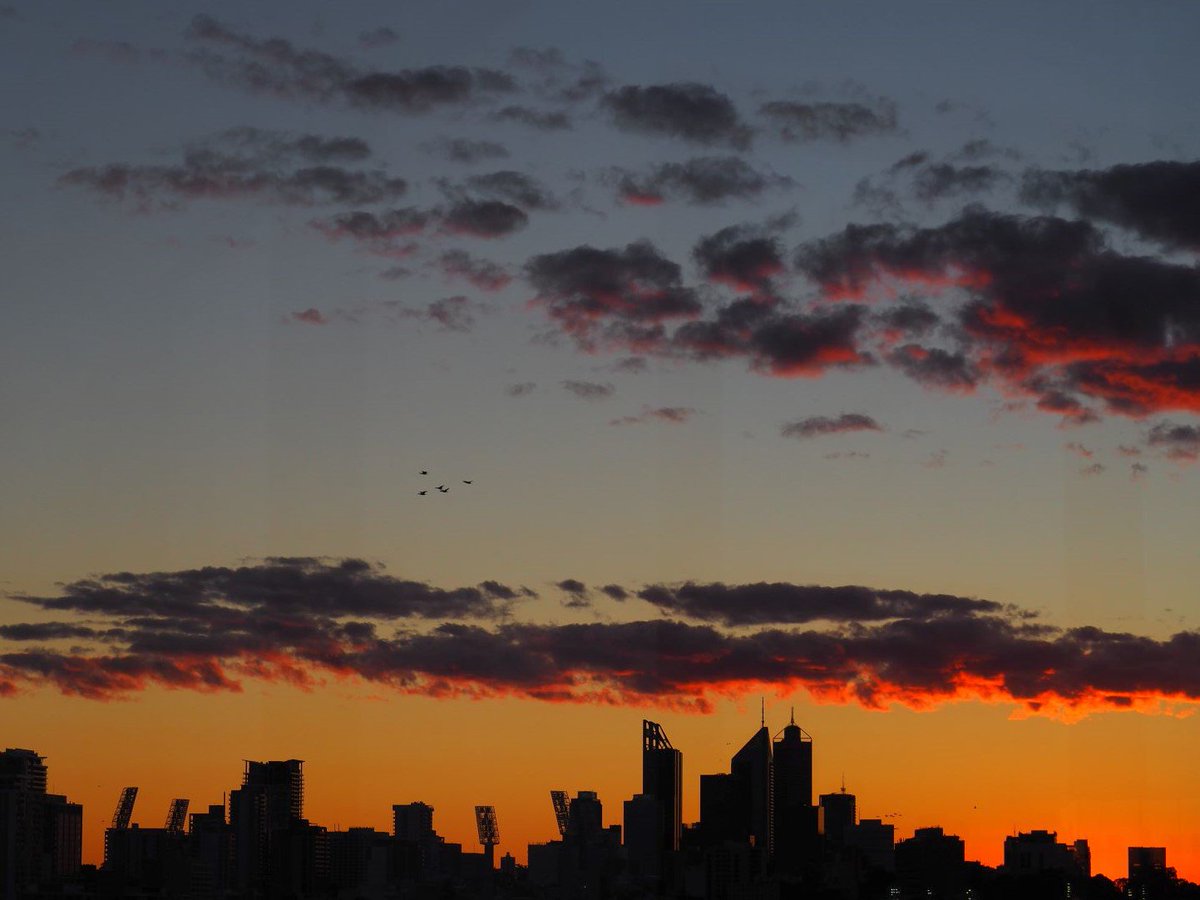 RestartHeartDay's tweet photo. Farewell &amp; thank you to our delegates, presenters, sponsors &amp; exhibitors from the #CAA19Congress in Perth. We look forward Sydney in 2020.  We hope you will join us. https://t.co/FVeQEKnFGN