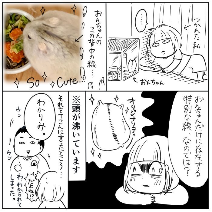 ジャンガリアンの背中の魅惑 