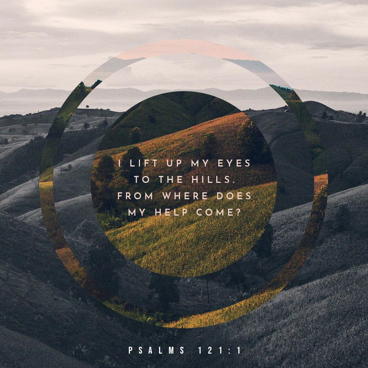I will lift up my eyes to the hills [of Jerusalem]-- From where shall my help come?
PSALMS 121:1 AMP
pos.li/2d0zc7